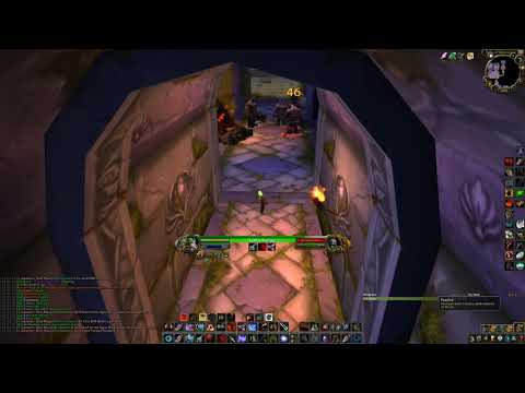 DireMaul Tribute run Hunter 7 Min to boss.