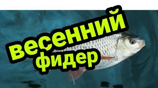 Фидерная ловля ранней весной на малых реках