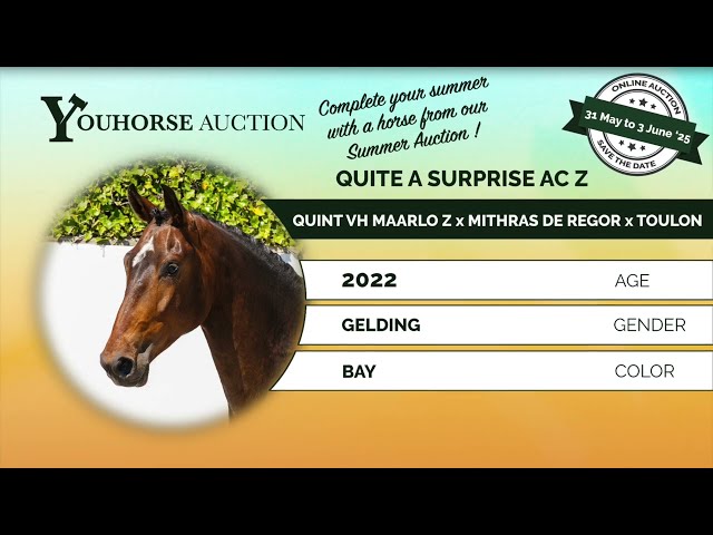 Quite a Surprise AC Z under the saddle