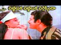 చిట్టెలుక చిట్టెలుక చిర్రెక్కిందా Kris