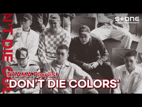 [PLAYLIST] 전곡이 다 좋따마! THAMA 'DON’T DIE COLORS' 몰아듣기｜Stone Music PLAYLIST