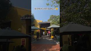 오늘도 사육당하는 타코유미🤎 #다낭맛집 #마담란 #타코투어 #다낭 #골프 #golf #shorts