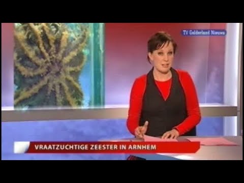 GLD Nieuws 6 mei 2008 - Nieuws