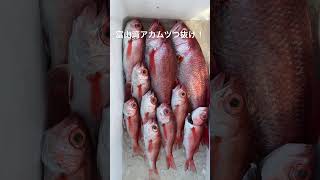 富山湾アカムツつ抜け達成！