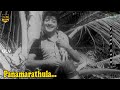 Panamarathula Song Kan Kanda Deivam Movie K V Mahadevan Old Hits Tamil Old Hit Songs HD