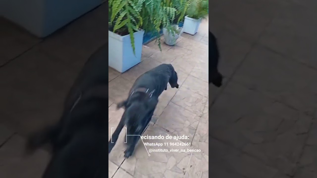 Chácara VB | Instituto Viver na Bênção