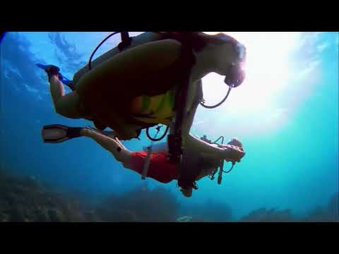 Discover something new!