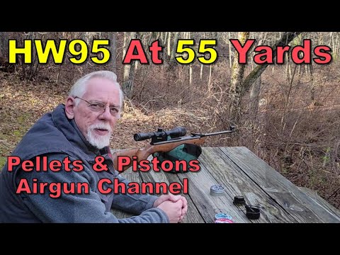 HW95 Plinking At 55 Yards