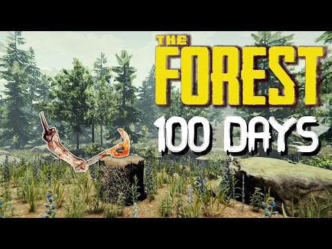 I Survived 100 Days In The Forest and Here's What Happened