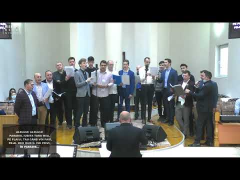 Grup Bărbătesc Betania Cluj - Paradis, tărâm frumos