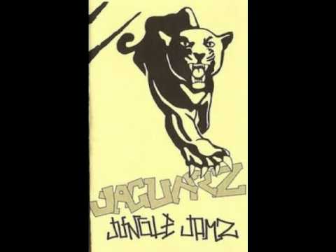 Jaguarz - Jaguarz