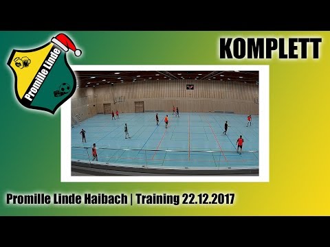 Promille Linde Haibach | Training 22.12.2017 | KOMPLETT