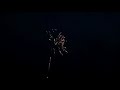 Whatsapp Status Videos For Diwali Wishes Diwali Wishes By Thalaivar Rajnikanth Sivaji Movie