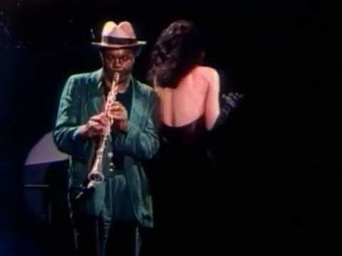 Negro Gato video