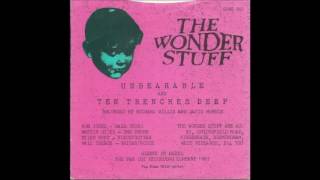 The Wonder Stuff - Ten Trenches Deep (The Wonder Stuff B Sides)