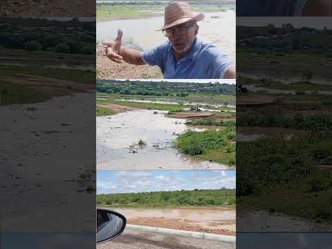 CAMPO ALEGRE DE LOURDES #chuvas #nordeste