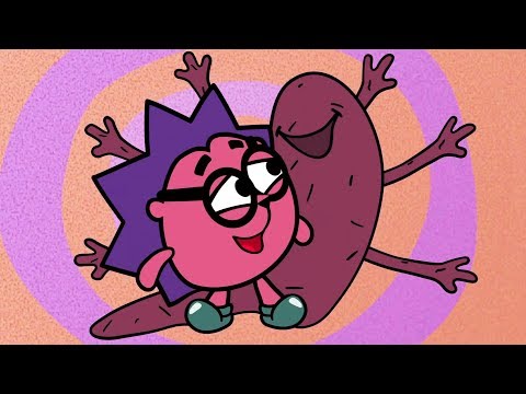 Сборник серий к 14 февраля | Смешарики Пин-код. Обучающие мультфильмы