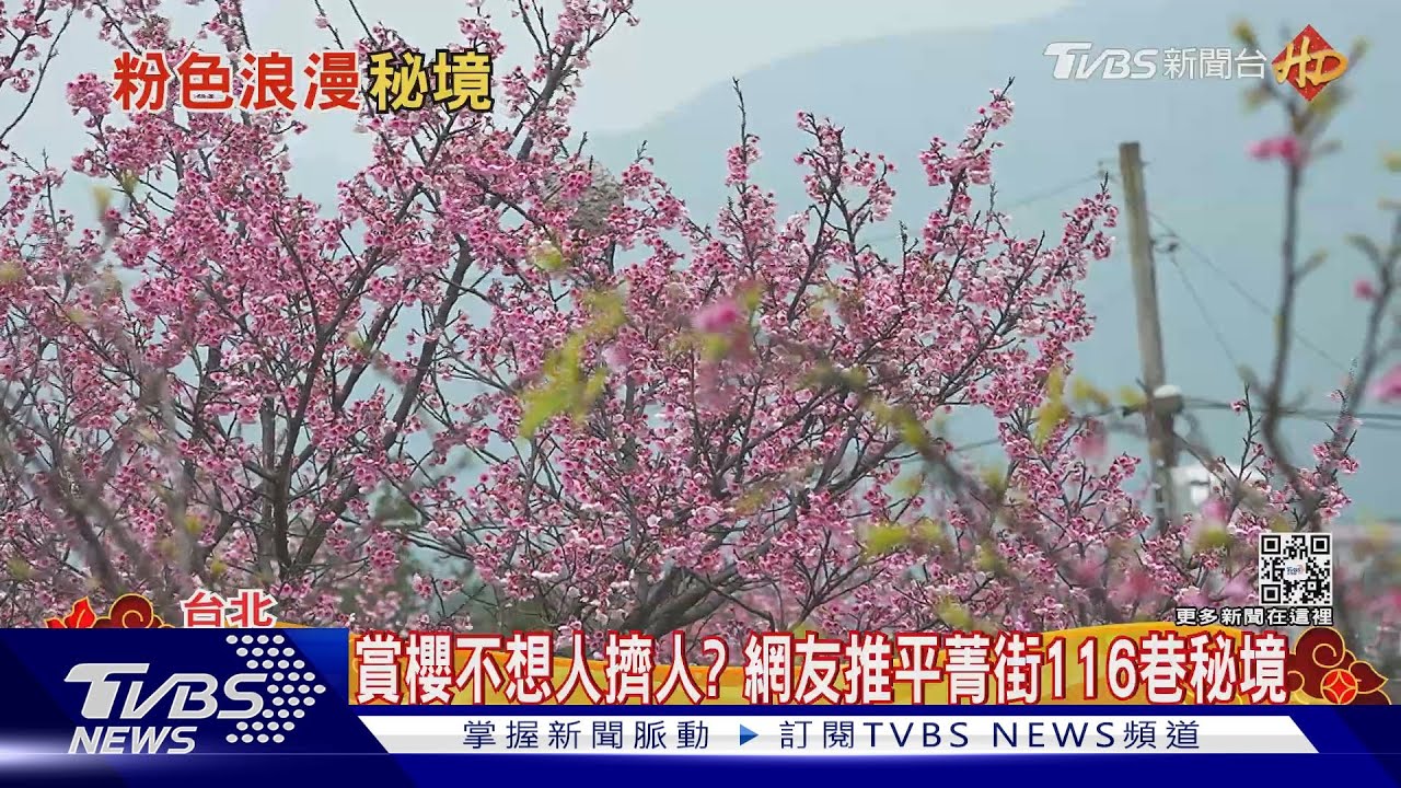 初六走春！陽明山、花蓮鯉魚潭「賞櫻秘境」曝