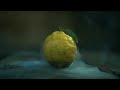 Open video