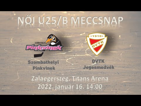 NU25B 48 Szombathelyi Pingvinek -  DVTK Jegesmedvék (élő közvetítés)