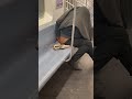 Reasons why you Have to move to New York! - Public transportation is phenomenal!!