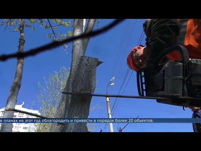 Ангарск готовится ко Дню рождения