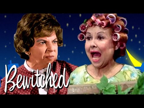 Chronicles of a Nosey Neighbor: Mrs. Kravitz' Funniest Moments | Bewitched