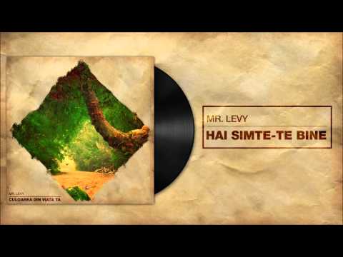 Mr.Levy - Hai simte-te bine