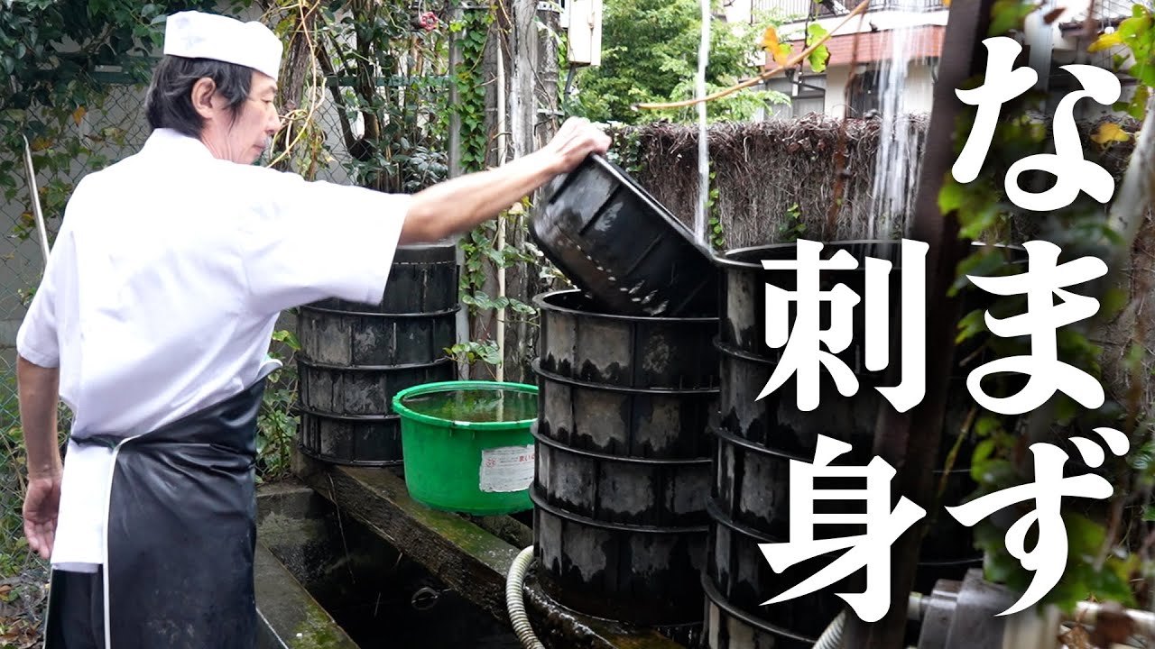 天然鯰のなまず丼と刺身を出す店「ますや」