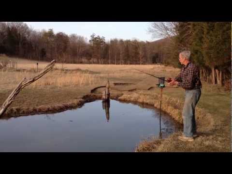 First Time Fishing our Pond in 2013 – Improper Handling of Catch and Release Fish