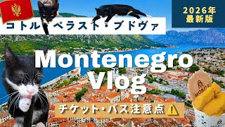 【モンテネグロ旅行🇲🇪】2泊3日!コトル・ペラスト・ブドヴァを巡る絶景旅🐈✨
