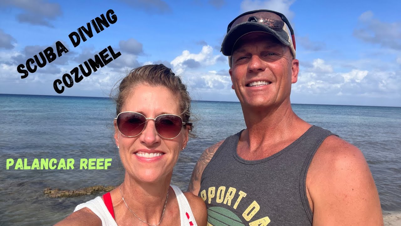 palancar reef video