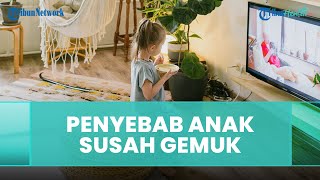 Apakah Seorang yang Tidak Bisa Gemuk Dikarenakan Faktor Takaran Makanan? Simak Selengkapnya