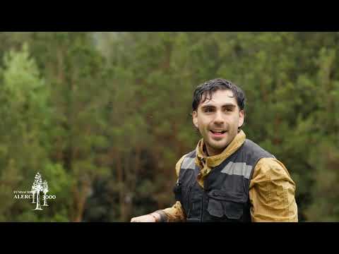 Taller de Restauración Ecológica y Plantaciones Nativas en la Reserva Vodudahue