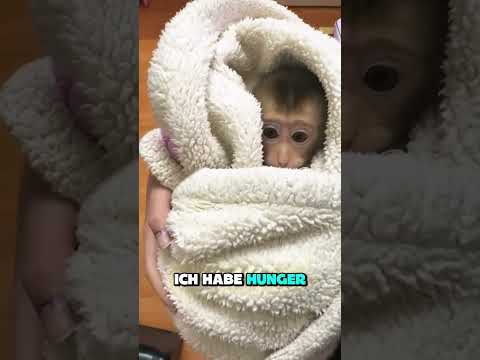 Manchmal findet Liebe ihren eigenen Weg