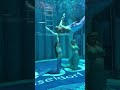 Underwater Dance Mermaid ‍ ️ Merman Choreography Shorts