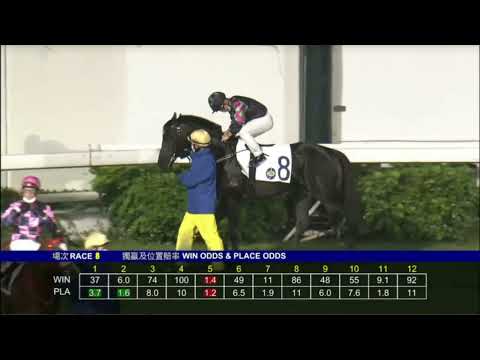 2022 03 23 快活谷 第八場 金鑚貴人 潘頓