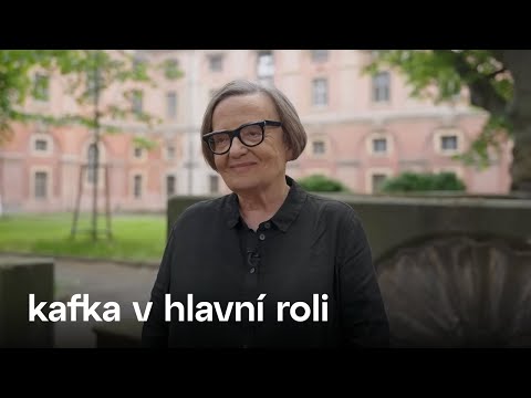 Náhled pro video reference