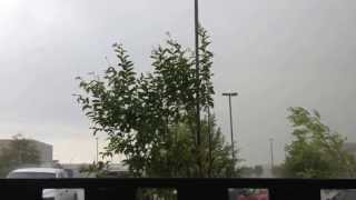 62813 Shai 8318 storm