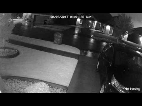 Stealth Security Footage 08/06/2017 03:02 AM