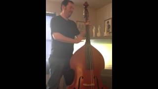 Upright Bass with Suzy Bogguss