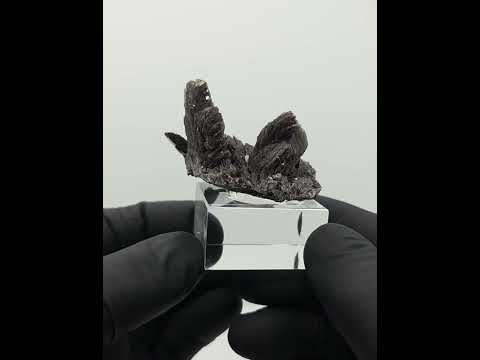 AXINITA. Canta District, Canta Province, Lima, Perú. #silvamiguelminerals #crystals