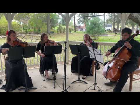 Promotional video thumbnail 2 for Resonant Strings