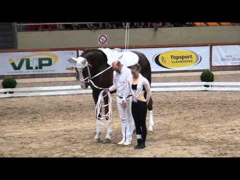 CVI Belgium 2016 - Nadja Büttiker SUI (Senior 3*)