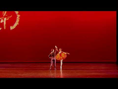 Ballet Pas De Deux - Don Quixote