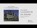 Exposición de Bonsais y recital 'La poesía de los árboles'