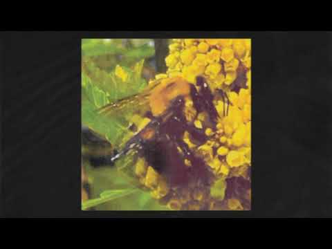 Broncho - "Think I Pass" (Official Audio)