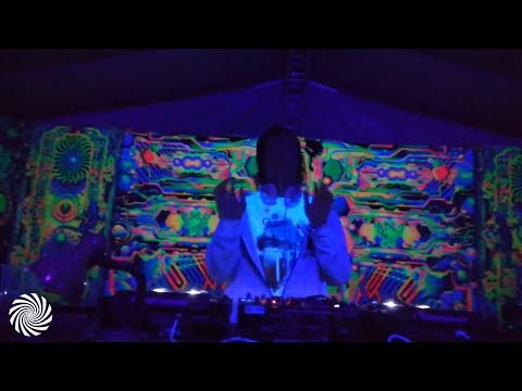 Tropical Bleyage @ Digital Forest festival (Czech Republic, August 2018)