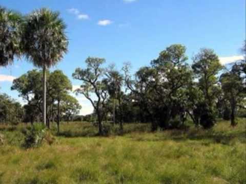 Polcas Ymaguaré - Transitando