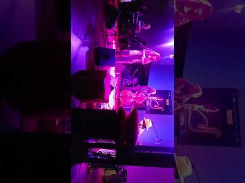 YOUN SUN NAH Quintet  - PalmJazz 2018